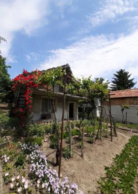 ������� ���� | Imot.bg � ����� ������ 10