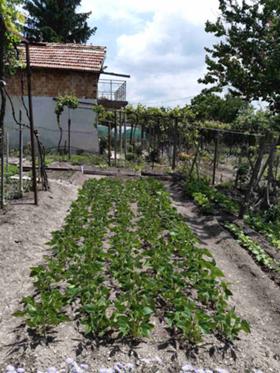 ������� ���� | Imot.bg � ����� ������ 9