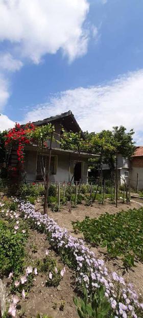 ������� ���� | Imot.bg � ����� ������ 13