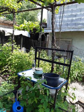 ������� ���� | Imot.bg � ����� ������ 11