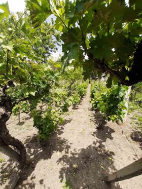 ������� ���� | Imot.bg � ����� ������ 4