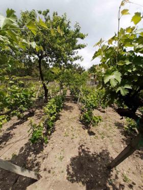 ������� ���� | Imot.bg � ����� ������ 3