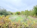 Продава КЪЩА, област Добрич, с. Пленимир • 50000 лв. / 25564.59 € • 60848854 9