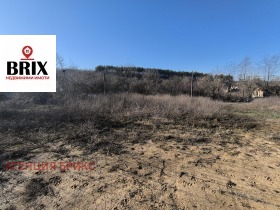 ����� ������� ������,���� ����, �.�. �������