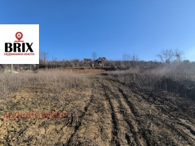 ����� ������� ������,���� ����, �.�. �������