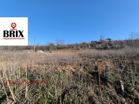 ����� ������� ������,���� ����, �.�. �������