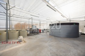 ������� �������/����� | Imot.bg � ����� ������ 12