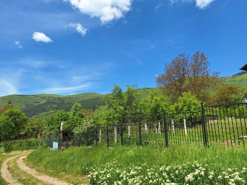 À vendre  Parcelle région Pernik , Nasalevtsi , 1550 m² | 55160347 - image [2]
