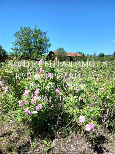 ������� ���� | Imot.bg � ����������� 4