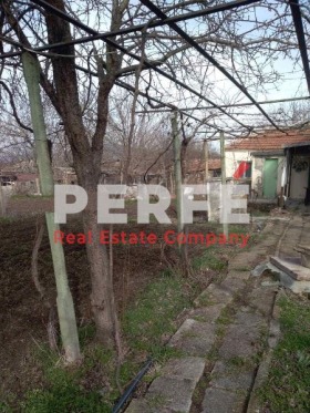 Hus Sadievo, region Burgas 1
