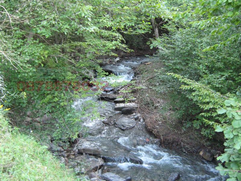 Продава ВИЛА, с. Балканец, област Ловеч, снимка 6 - Вили - 52785721