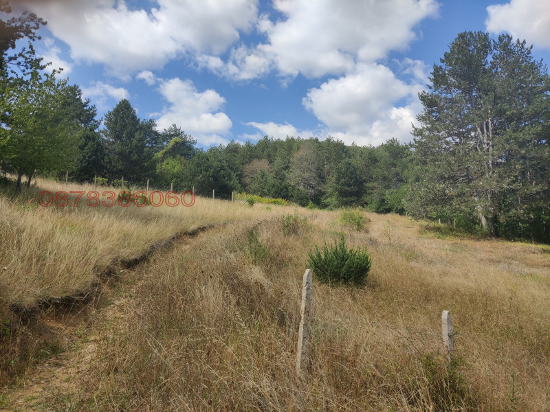 Продава ПАРЦЕЛ, с. Хасовица, област Смолян, снимка 2 - Парцели - 52782810