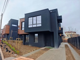 ������ ������� ����