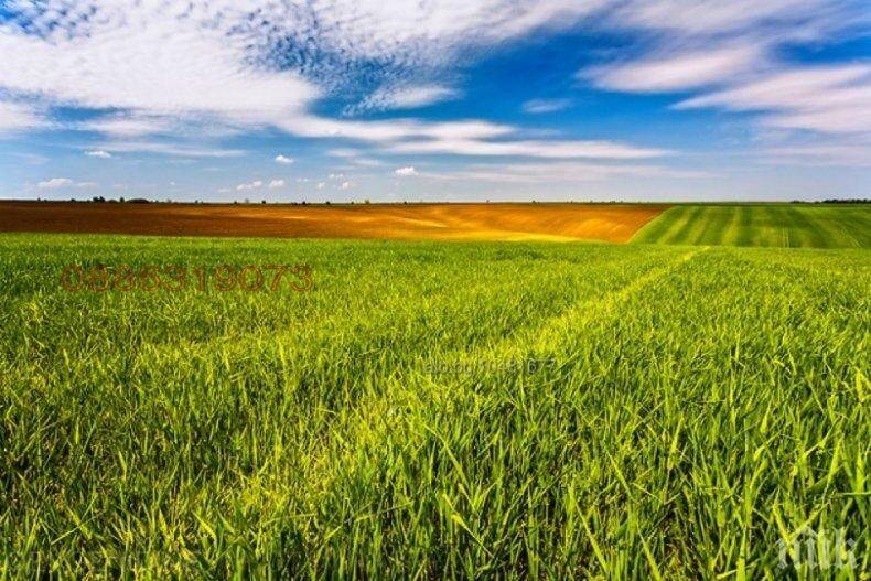 Продава ЗЕМЕДЕЛСКА ЗЕМЯ, с. Тригорци, област Добрич