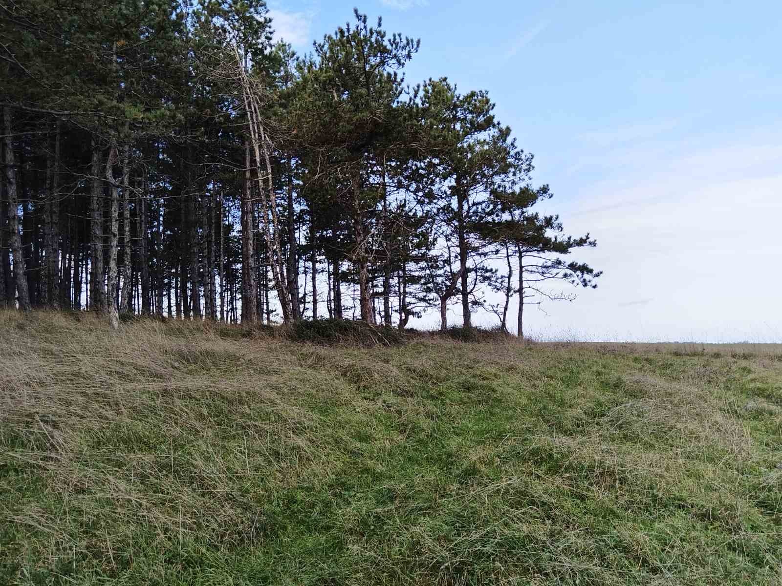 ������� ������ | Imot.bg � ����������� 14