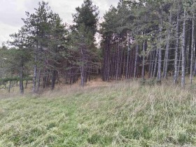 ������� ������ | Imot.bg � ����� ������ 13