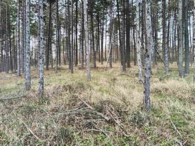 ������� ������ | Imot.bg � ����� ������ 5