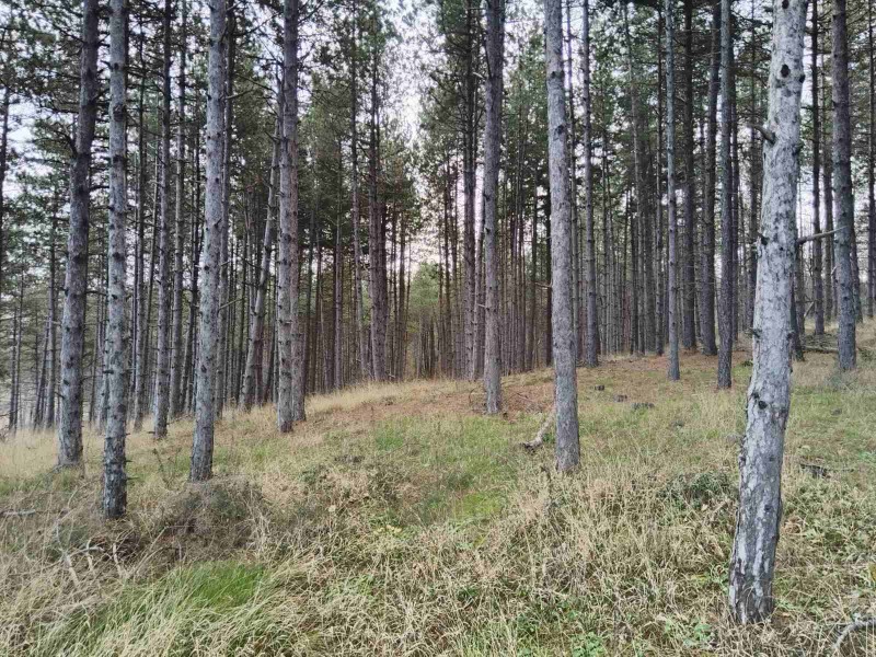 Продава ПАРЦЕЛ, гр. Царево, област Бургас, снимка 4 - Парцели - 53313028