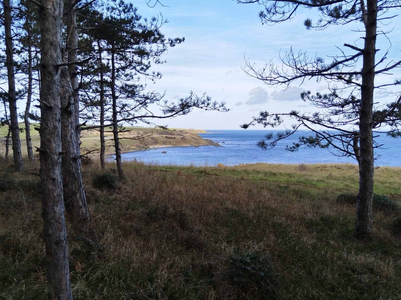 Продава ПАРЦЕЛ, гр. Царево, област Бургас, снимка 9 - Парцели - 53313028