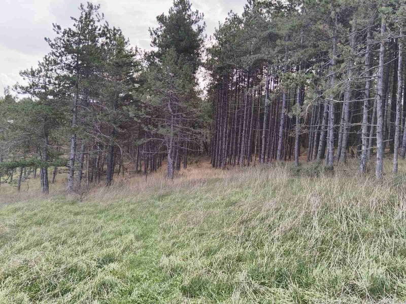 Продава ПАРЦЕЛ, гр. Царево, област Бургас, снимка 13 - Парцели - 53313028