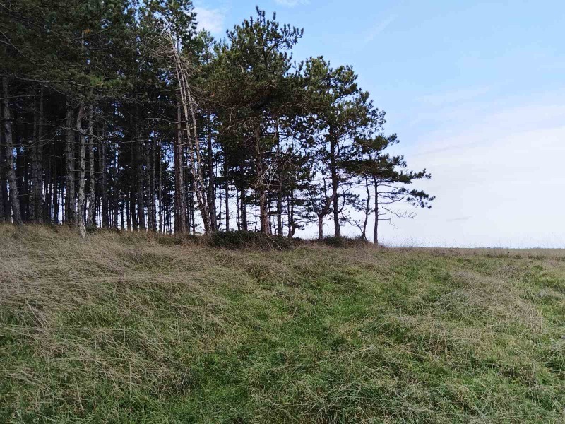 Продава ПАРЦЕЛ, гр. Царево, област Бургас, снимка 14 - Парцели - 53313028