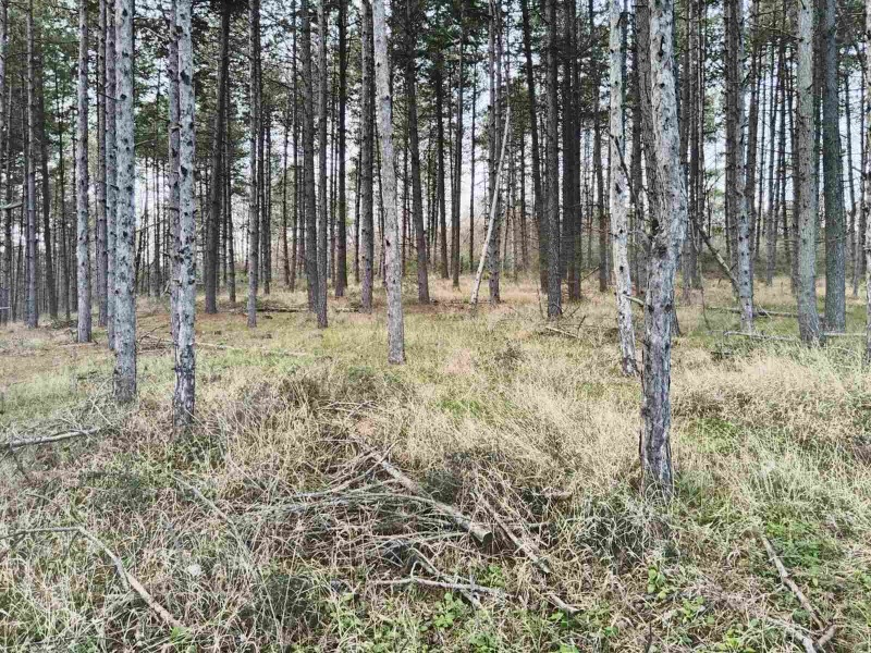 Продава ПАРЦЕЛ, гр. Царево, област Бургас, снимка 5 - Парцели - 53313028