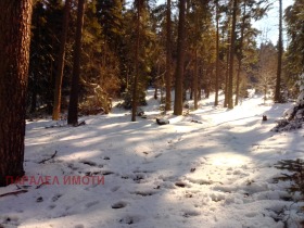 Парцел хижа Здравец, област Пловдив 1