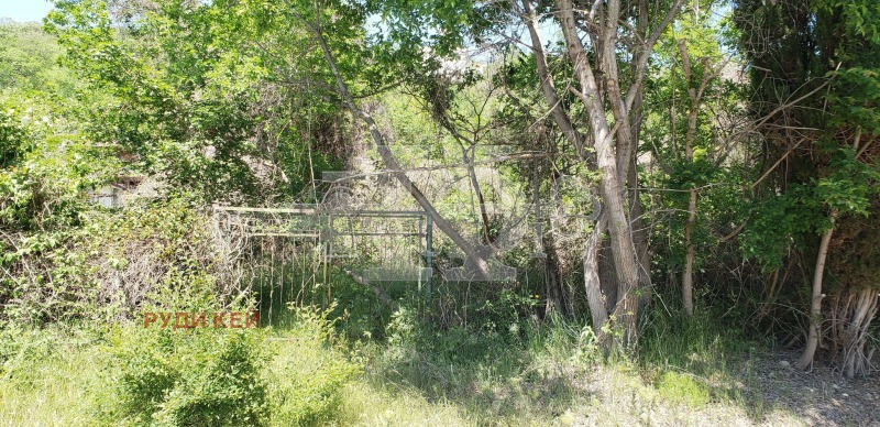 Продава ВИЛА, гр. Варна, област Варна, снимка 3 - Вили - 52456005