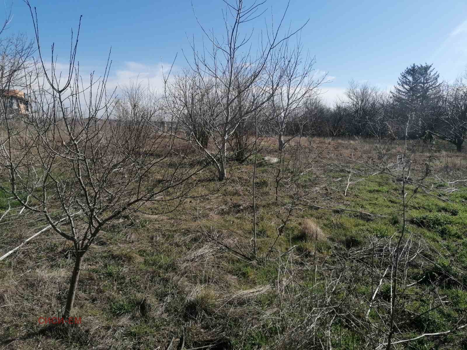 Продава ПАРЦЕЛ, гр. Добрич, Рилци, снимка 2 - Парцели - 53665095