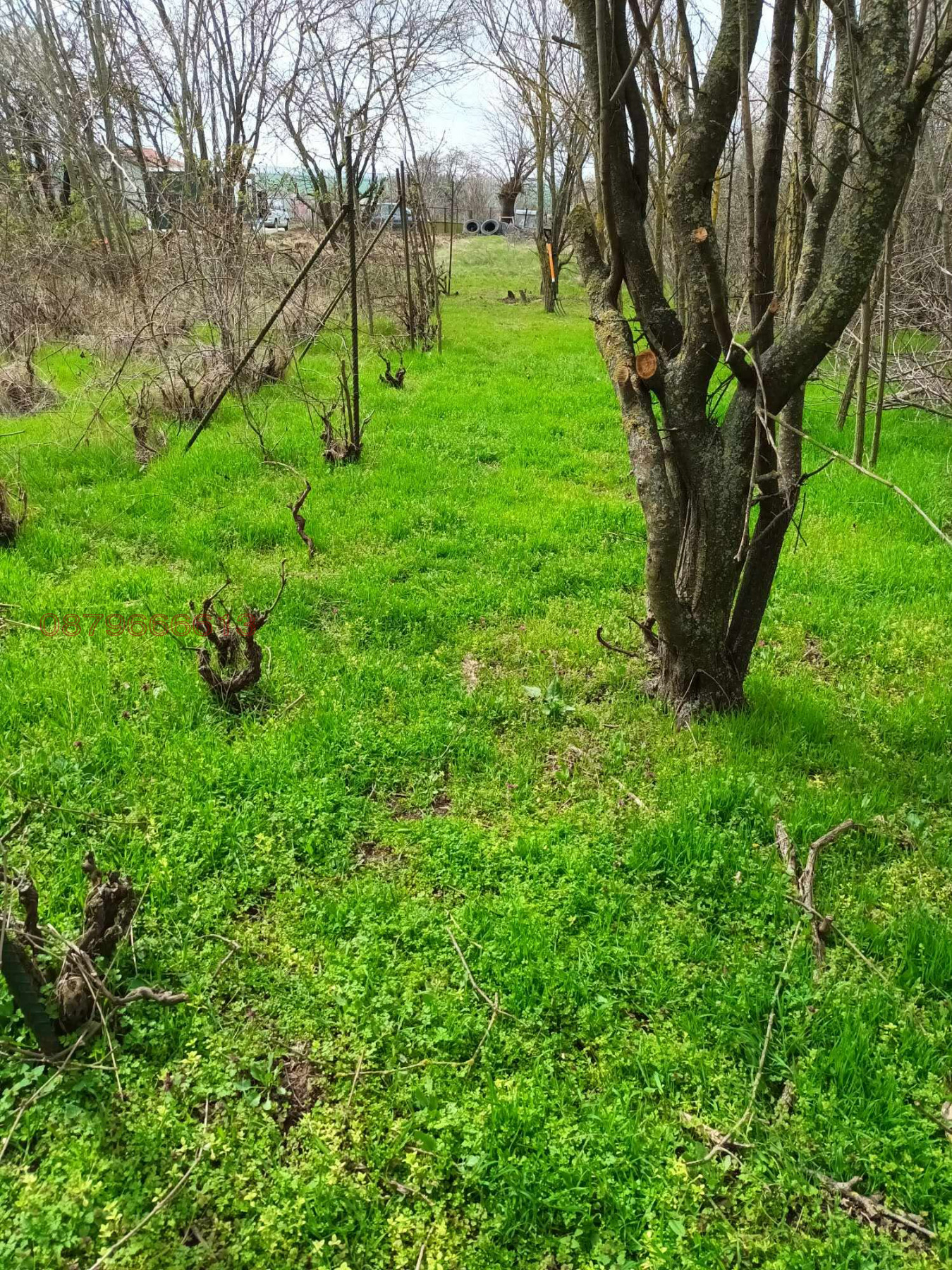 Продава ВИЛА, с. Ведрина, област Добрич, снимка 2 - Вили - 55075939