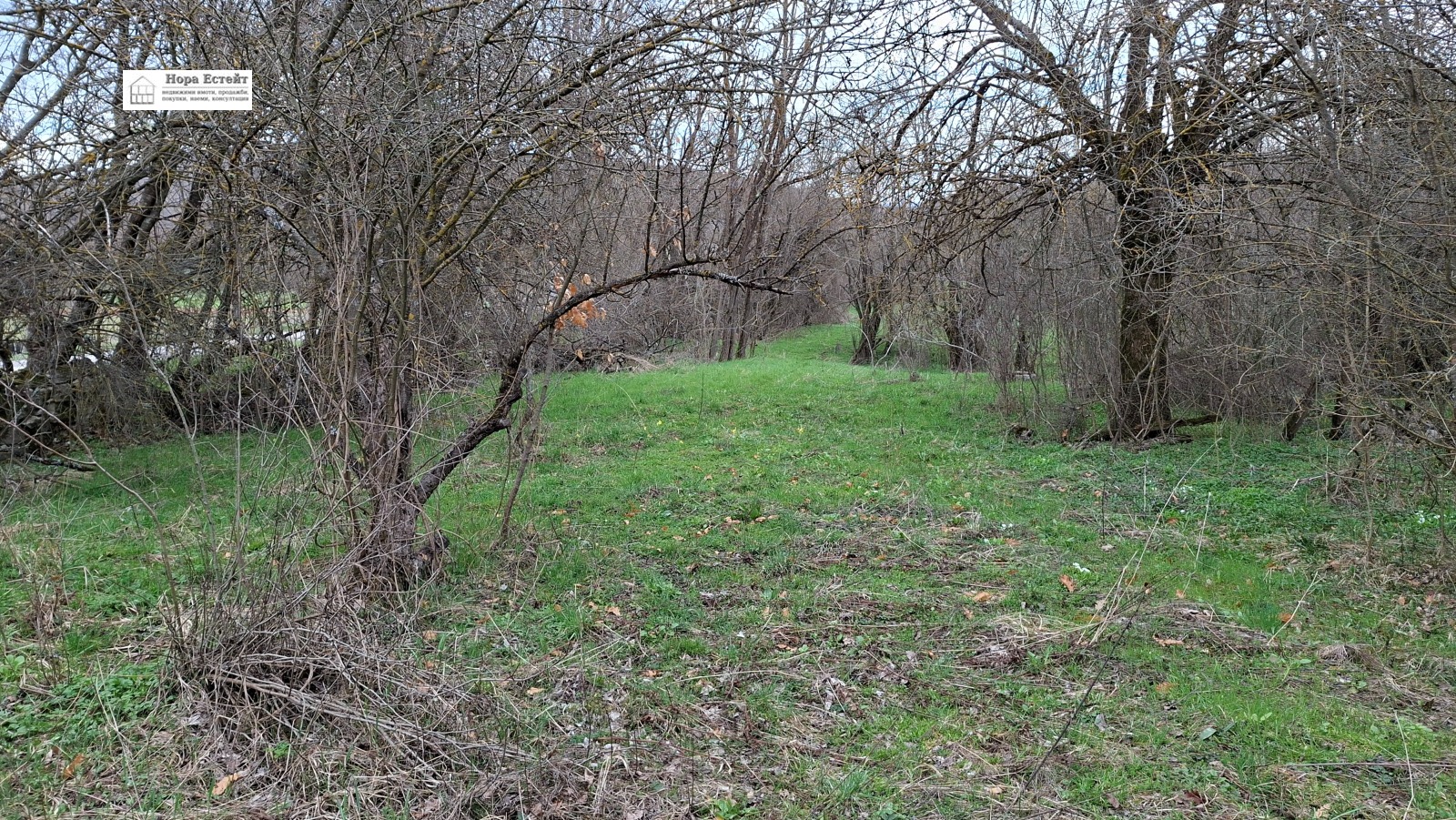 ������� ������ | Imot.bg � ����������� 2