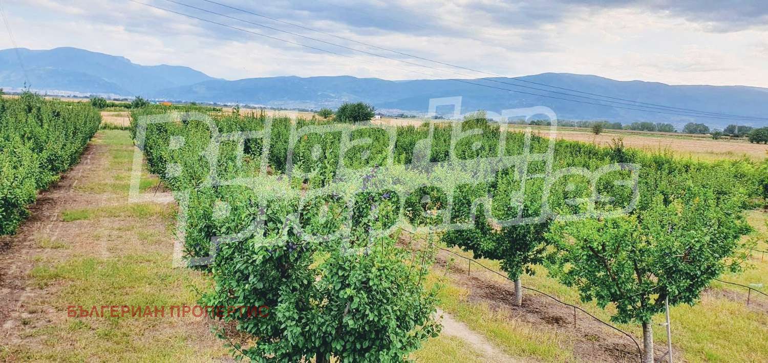 Продава ЗЕМЕДЕЛСКА ЗЕМЯ | Imot.bg — изображение 4