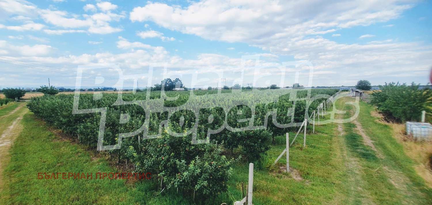 Продава ЗЕМЕДЕЛСКА ЗЕМЯ | Imot.bg — изображение 8