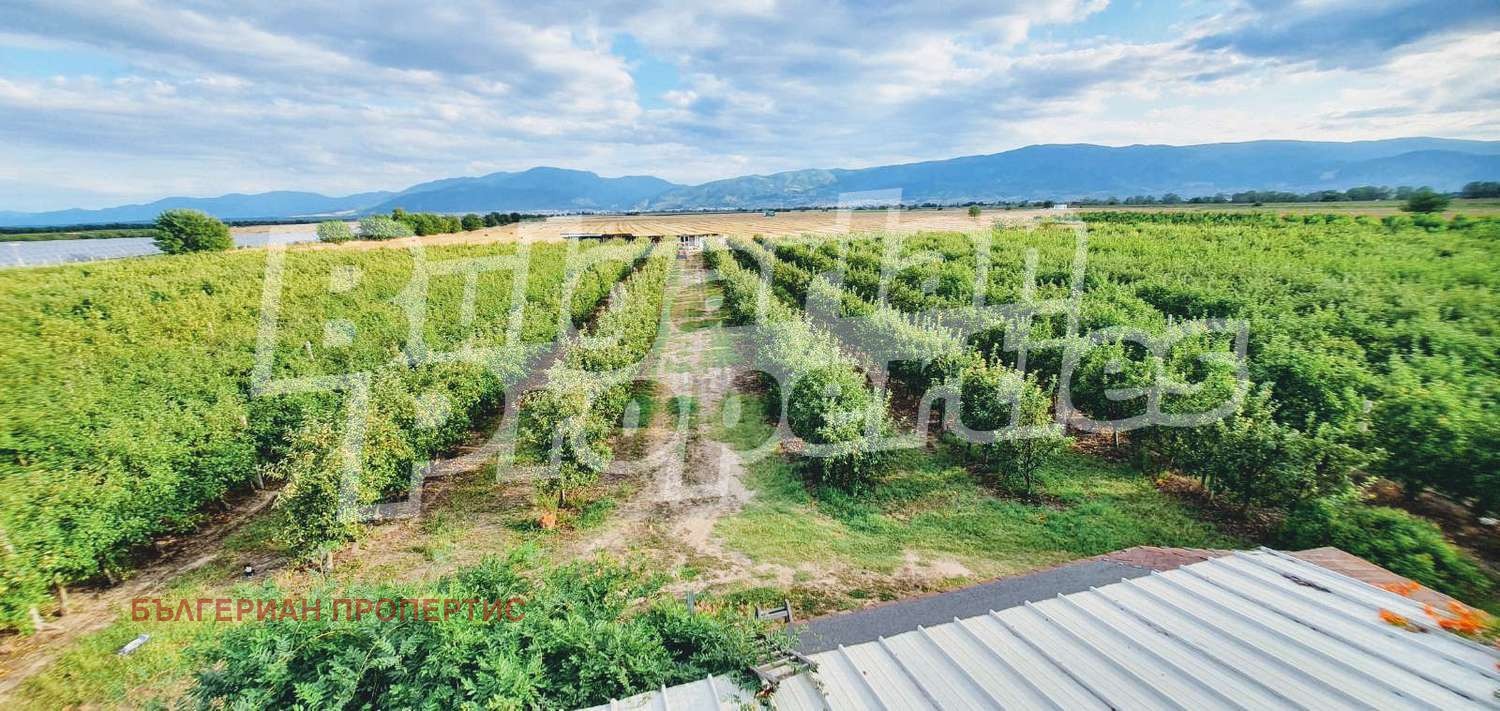 Продава ЗЕМЕДЕЛСКА ЗЕМЯ | Imot.bg — изображение 3