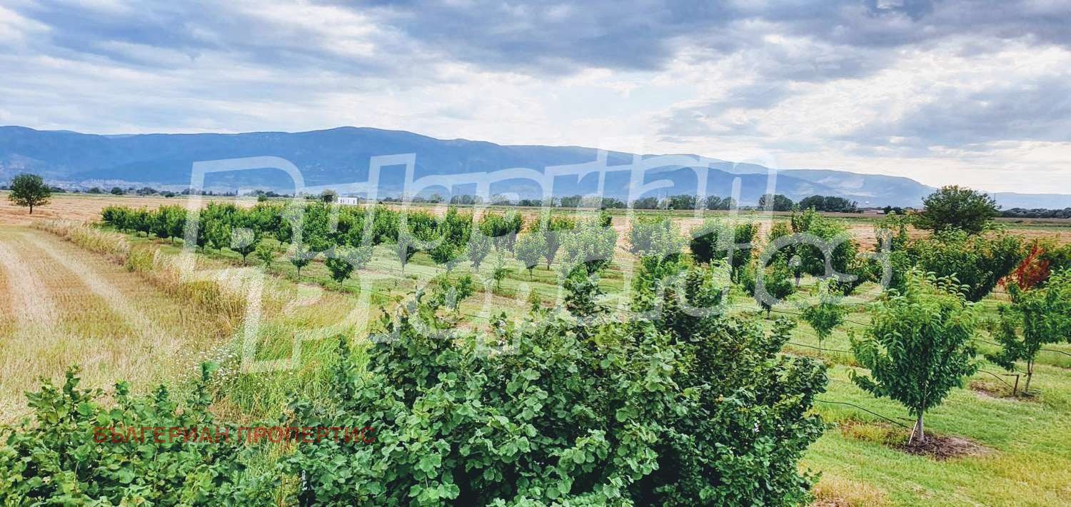 Продава ЗЕМЕДЕЛСКА ЗЕМЯ | Imot.bg — изображение 1