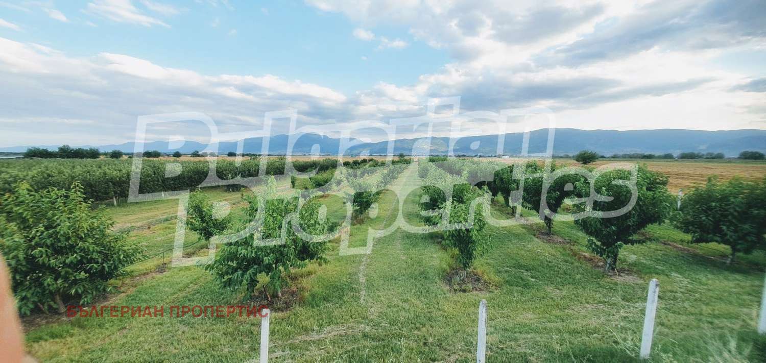 Продава ЗЕМЕДЕЛСКА ЗЕМЯ | Imot.bg — изображение 2