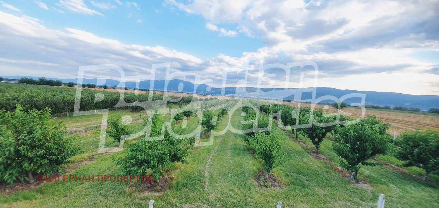 Продава ЗЕМЕДЕЛСКА ЗЕМЯ | Imot.bg — изображение 13