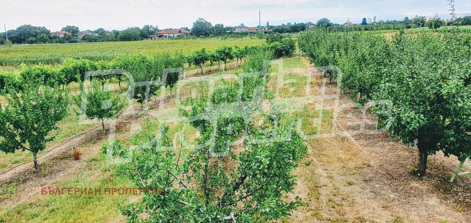 Продава ЗЕМЕДЕЛСКА ЗЕМЯ | Imot.bg — изображение 11