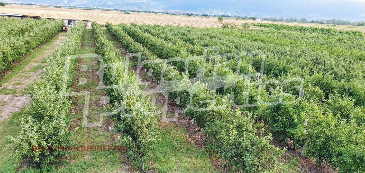 Продава ЗЕМЕДЕЛСКА ЗЕМЯ | Imot.bg — изображение 16