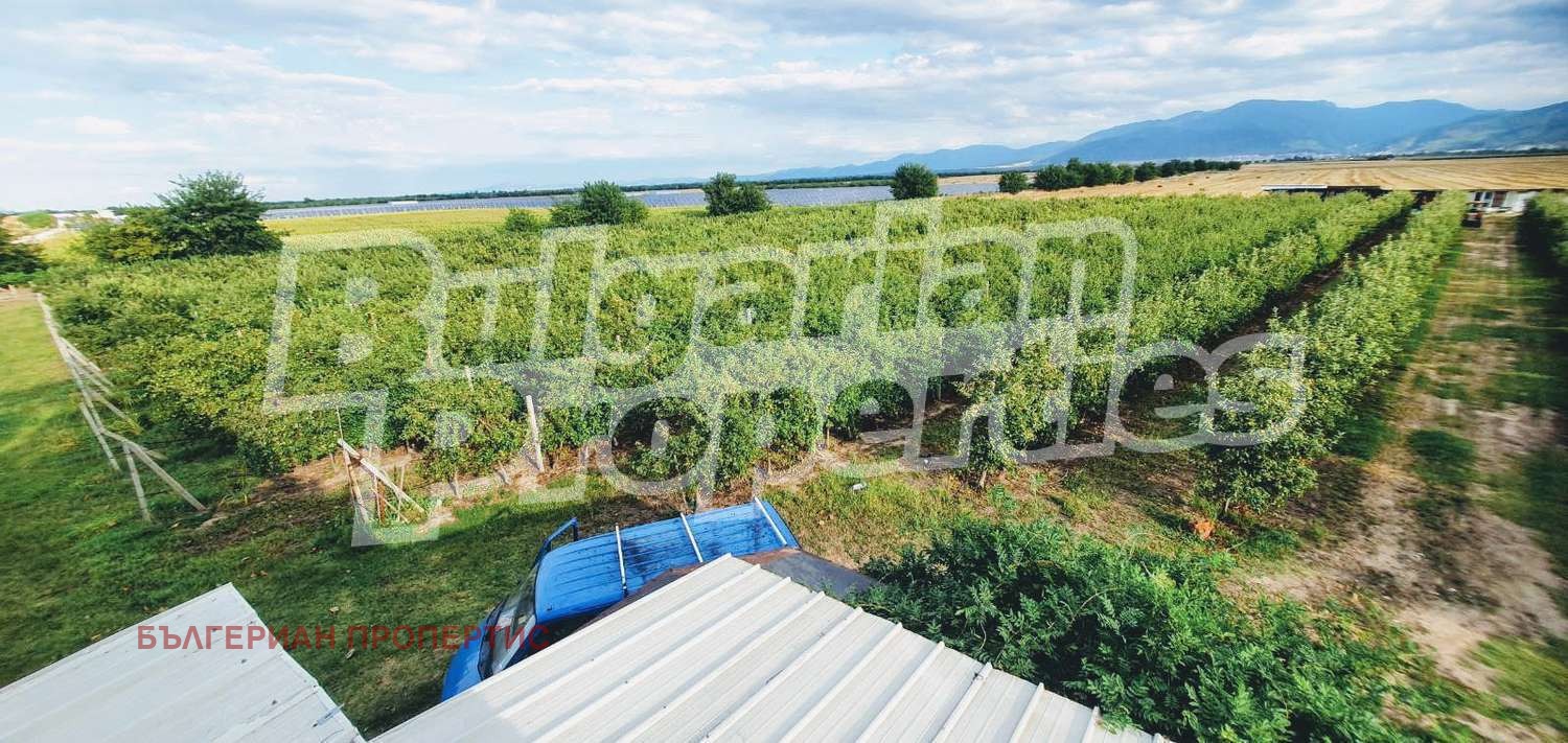 Продава ЗЕМЕДЕЛСКА ЗЕМЯ | Imot.bg — изображение 7