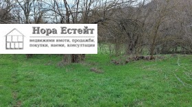 ����� ������� ������,��. ��������, ������ �����