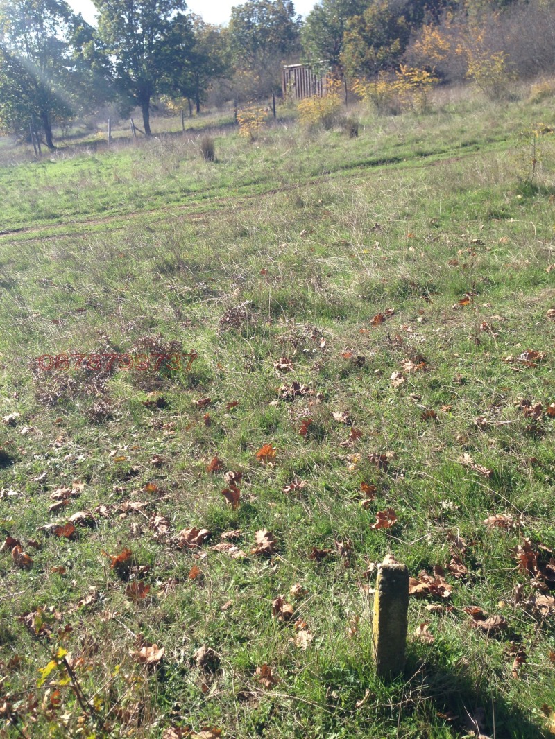 Продава ЗЕМЕДЕЛСКА ЗЕМЯ, с. Синеморец, област Бургас, снимка 6 - Земеделска земя - 52783418