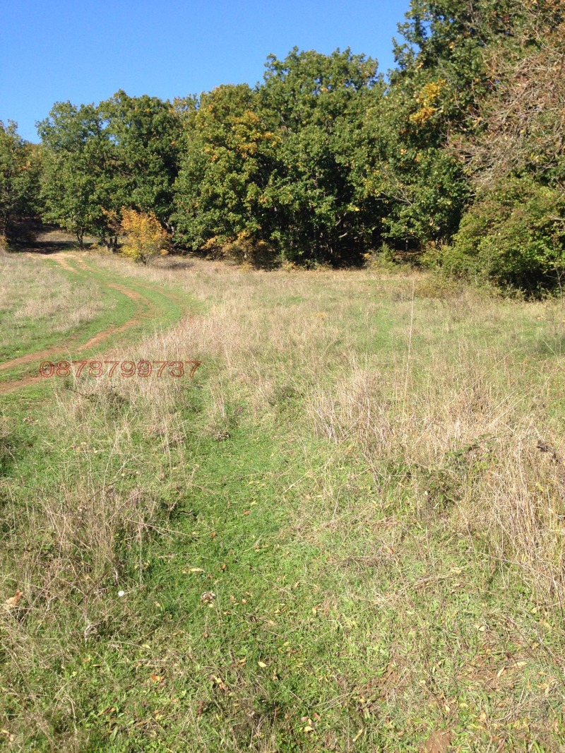 Продава ЗЕМЕДЕЛСКА ЗЕМЯ, с. Синеморец, област Бургас, снимка 8 - Земеделска земя - 52783418