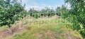 Продава ЗЕМЕДЕЛСКА ЗЕМЯ, с. Катуница, област Пловдив, снимка 16
