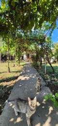 Продава КЪЩА, област Велико Търново, гр. Златарица • 40000 € • 30443227 — Holmes.bg