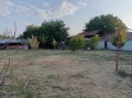Продава  Къща област Велико Търново , с. Върбица , 160 кв.м | 59237258 - изображение [10]
