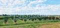 Продава ЗЕМЕДЕЛСКА ЗЕМЯ, с. Катуница, област Пловдив, снимка 8