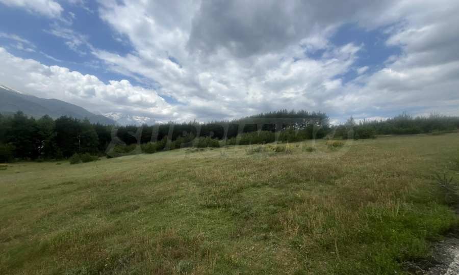 Продава ПАРЦЕЛ, гр. Добринище, област Благоевград, снимка 5 - Парцели - 54961051