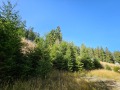 Продава ХОТЕЛ, к.к. Пампорово, област Смолян, снимка 2