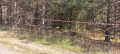 Продава ПАРЦЕЛ, област София, в.з.Ярема • 16000 € • 13148395 — Holmes.bg